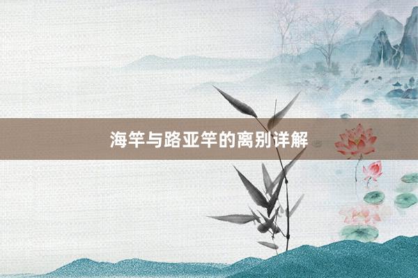 海竿与路亚竿的离别详解